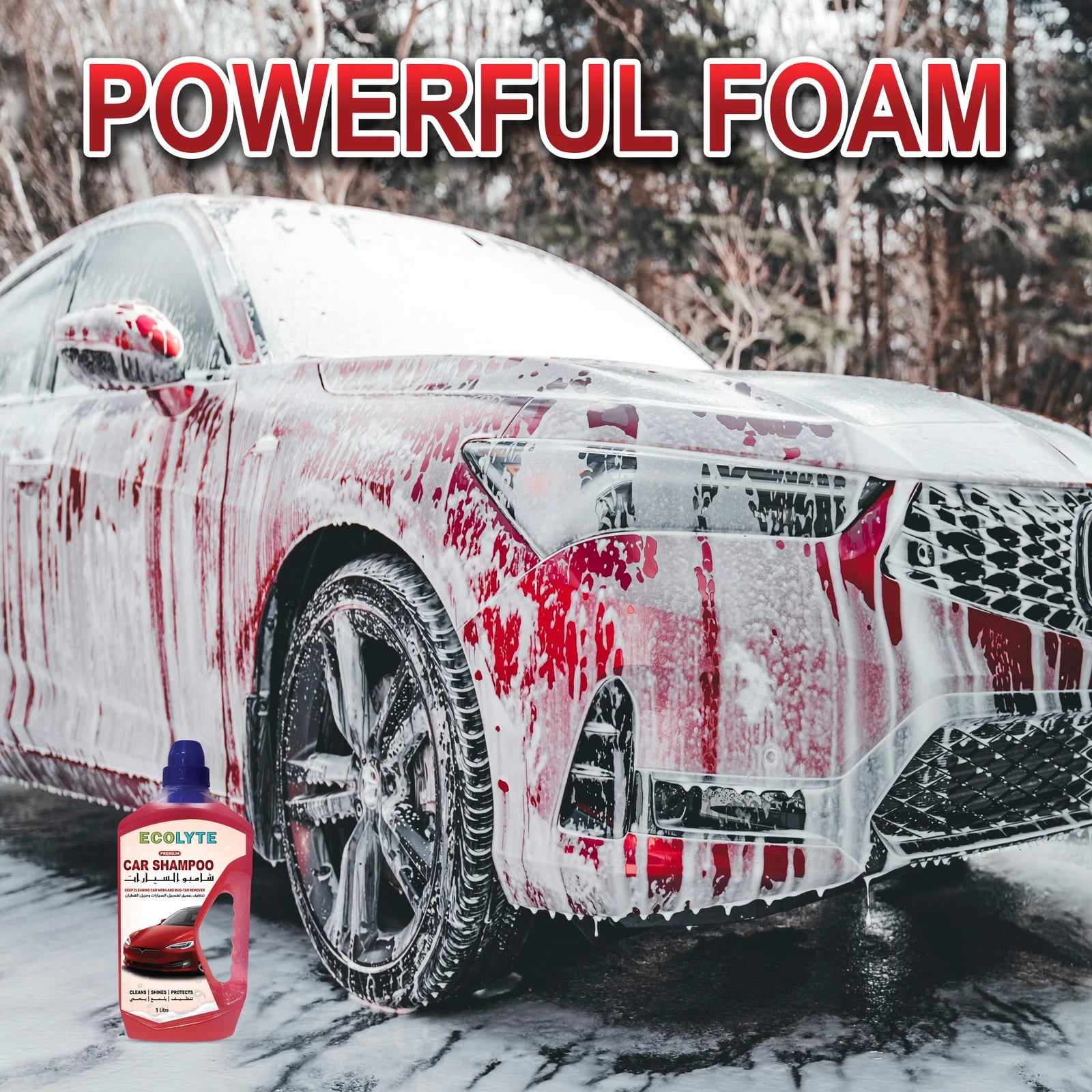 ECOLYTE PREMIUM DEEP CLEANING AND BUG-TAR REMOVER CAR SHAMPOO 1LTR
