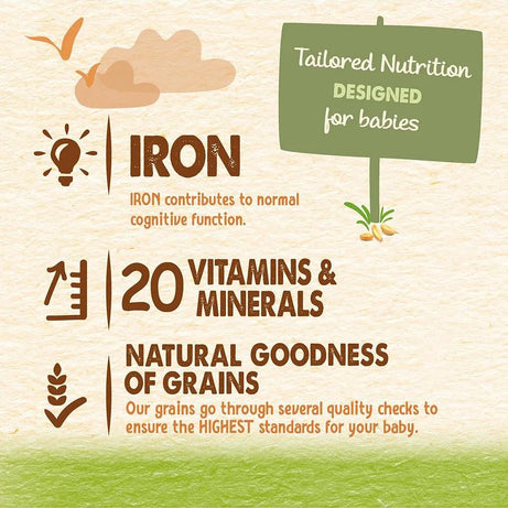 CERELAC INFANT MIXED FRUITS & WHEAT WITH MILK 400GM